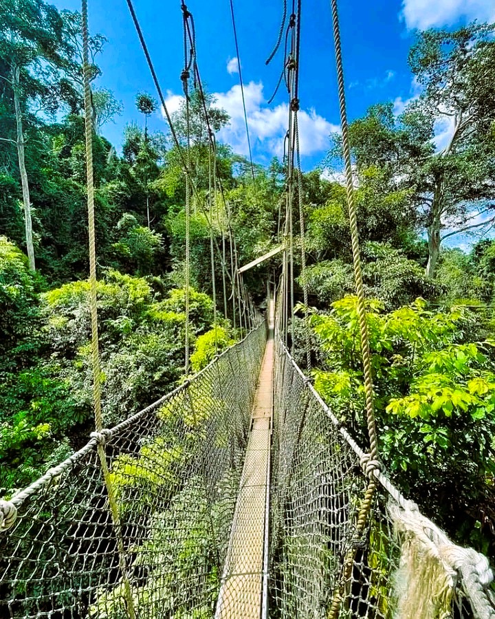 Kakum National Park