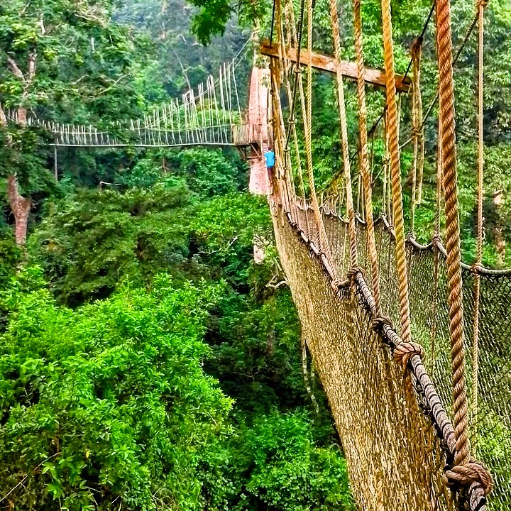 Kakum National Park