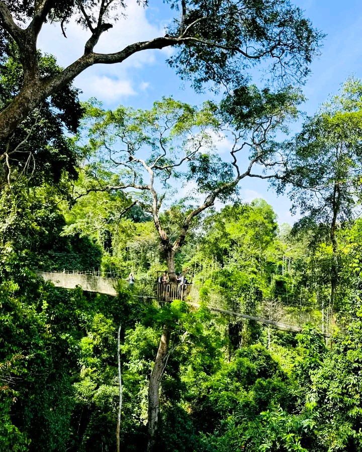 Kakum National Park