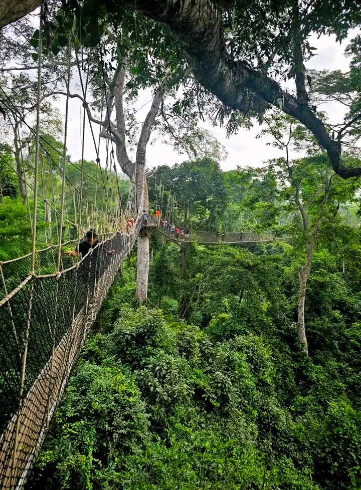 Kakum National Park